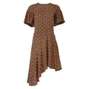 Celebrity Fave A.L.C. Floral Dress